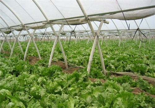 �����߲ˑ�ԓ����ʩ�ʣ����ʩ�ʡ���Ҫ�ء���