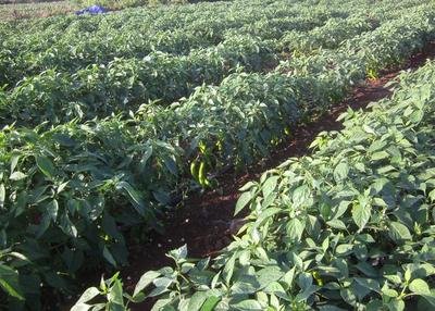 ������ʩ�ʼ��g(sh��)�cʩ�����c��֪��ô���s���˽�һ�°�