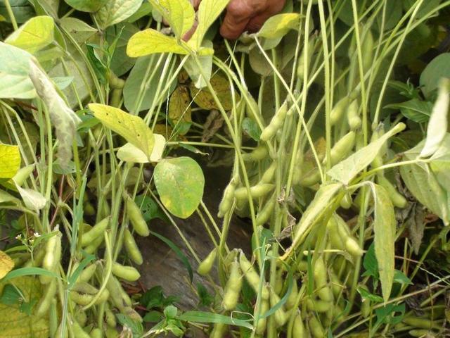 �󶹑�ԓ����ʩ�ʣ���ʩ����ʼ��g��