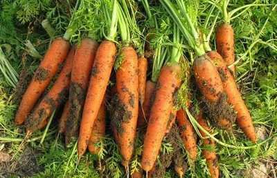 ���}��ʩ�ʵĕr��Ҫע��ʲô�����}��ʩ��ע����헣�