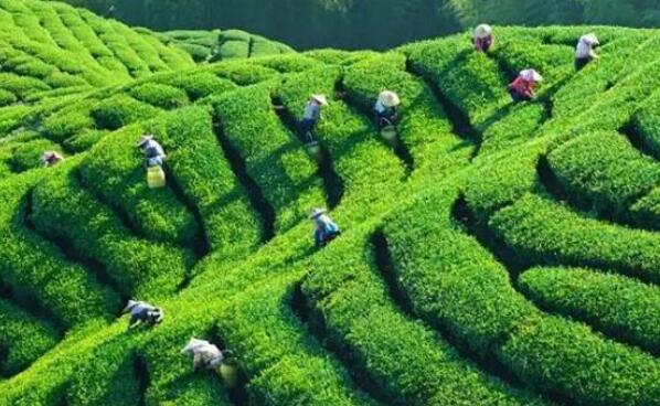 ����˪��������@����ָ��(d��o)���g(sh��)