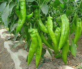 �ཷ��ԓ����ʩ�ʣ��ཷ���_ʩ�ʵķ�����