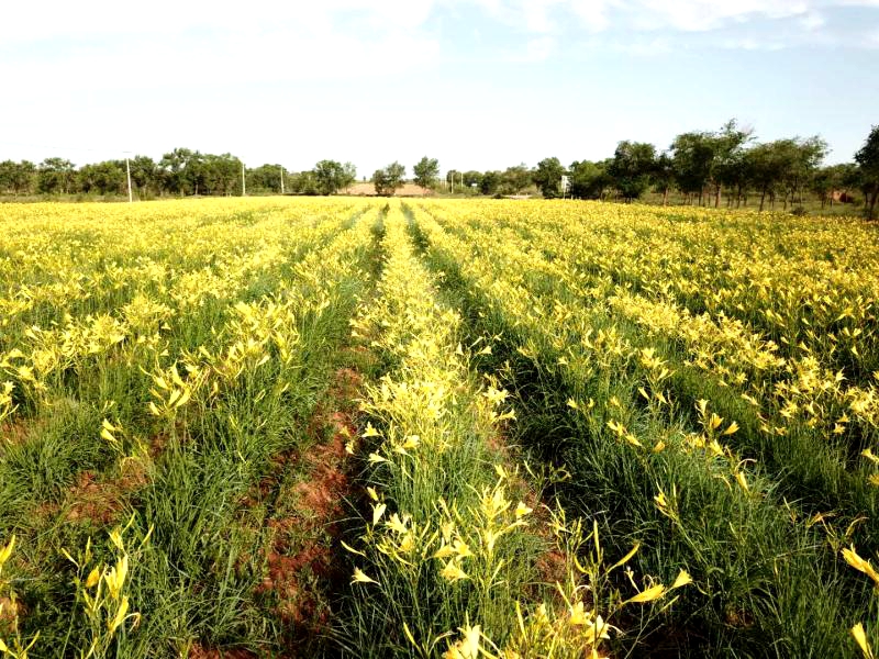 �Nֲ�S���ˑ�ԓ����ʩ�����S����ʩ�ʼ��g��