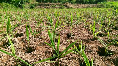 ����ʩ����ô�k������ʩ�ЙC�ʼ��g��