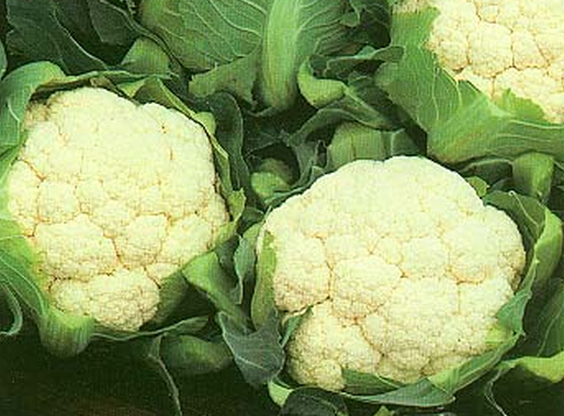 ��Ҭ�ˑ�ԓ����ʩ�ʣ���Ҭ��ʩ�ʼ��g��