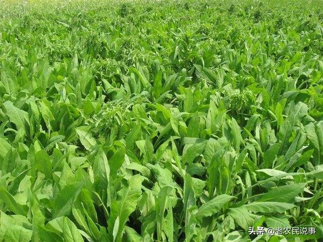 �n��ʩ�ʑ�ԓע��ʲô���n��ʩ��ע����헣�