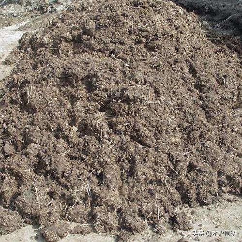 �x�ʲ��HҪ����Ч��߀Ҫ�м�(x��)���}Ч��