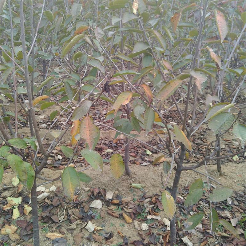 �����J��ôʩ����֪��ô�������Jʩ�ʼ��g��