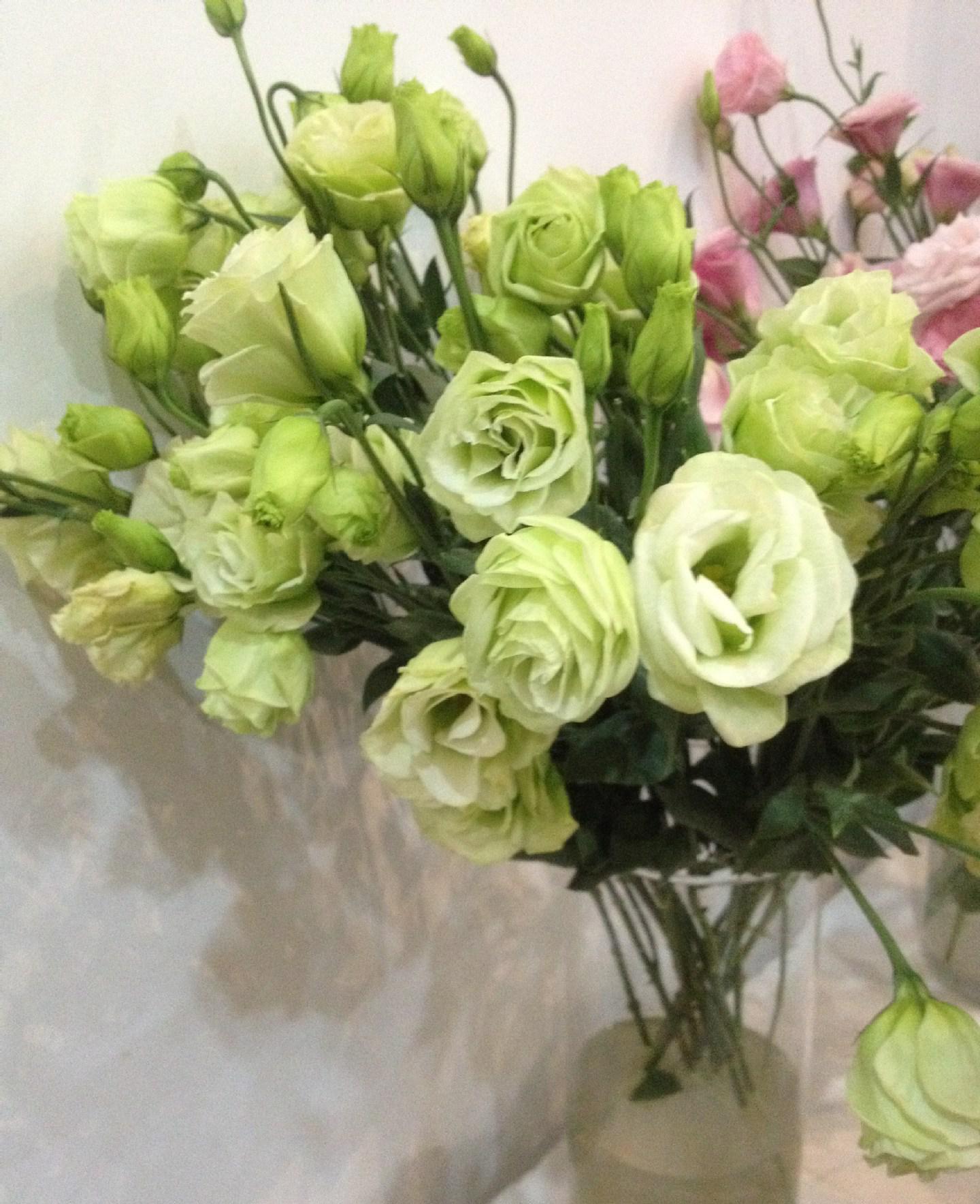 ��۹���(y��ng)ԓ����ʩ�ʣ���۹���ʩ�ʼ��g(sh��)��