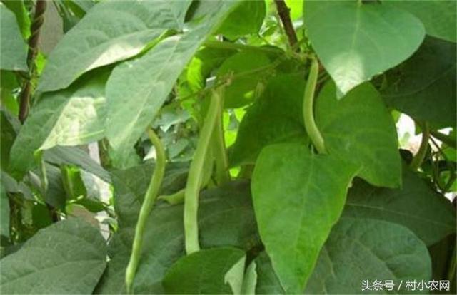 �|���׷ʑ�ԓ��ôʩ���|���׷�ʩ�ʼ��g��