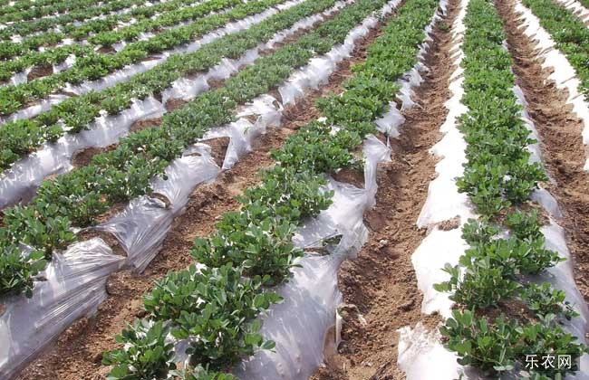 �＾ʩ�����׷����e�`��ʲô����ԓ������_ʩ�ʣ�