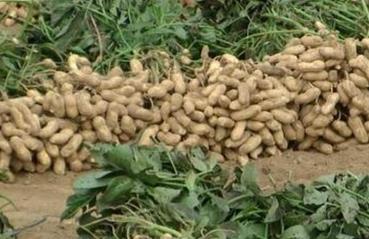 �~��ʑ�ԓ������ã�����+�������⛹�Ч���ӣ�