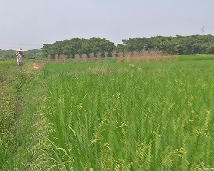 ˮ������ʩ�ʼ��g