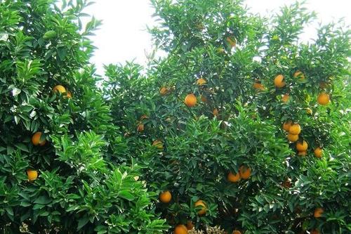 Ě��ʲô�r��ʩ�ʣ���ԓ��ôʩ�ʣ�