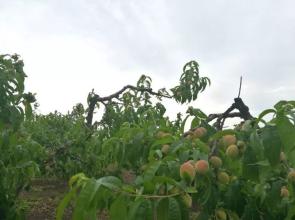 �Ҙ仨ǰ��ԓ���׷�ʣ��Ҙ仨ǰ׷�ʼ��g��