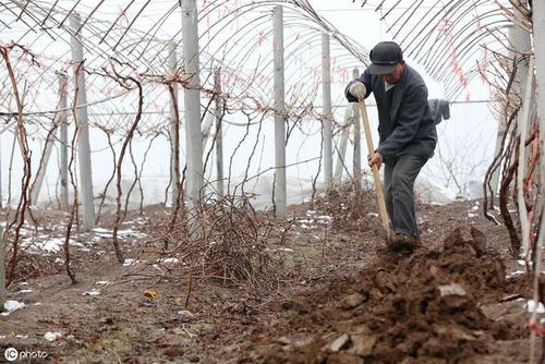 ���ё�(y��ng)ԓ���ʩ���ʣ�����ʩ���ʵĕr�g��������