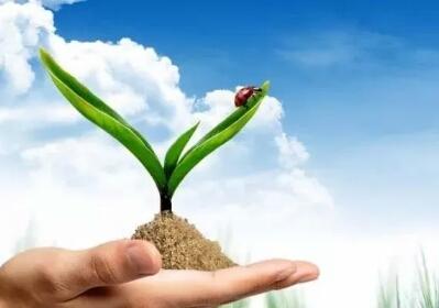 ����ʵķN�����Щ�����c����ʲô��