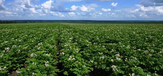 2020���R����ƌW��ȼ��gָ����Ҋ