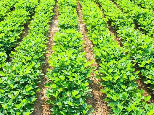 2020��ɽ�|ʡ�����к��ڹ������g��Ҋ