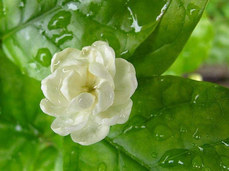 ������Ҫ�L�úÑ�ԓ����ʩ�ʣ�����ʩ�ʼ��g��