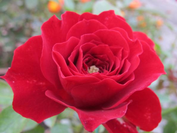 õ�廨��ô�ÿ������Ǒ�ԓ��ôʩ����֪��ô��