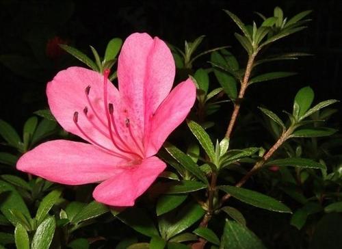 ���N����ʩ��Ҫ�c��ʲô�����N����ԓ���ʩ�ʣ�