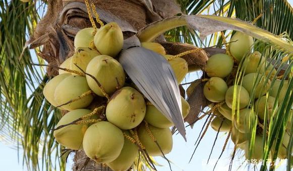 Ҭ�Ә䲻ͬ�r�ڑ�ԓ���ʩ�ʣ�Ҭ�Ә�ʩ�ʼ��g��