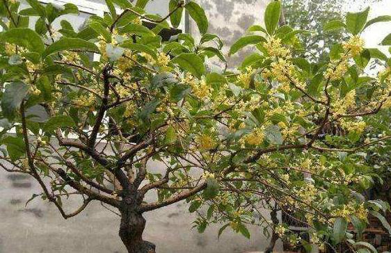 �������䑪ԓ����M��ʩ�ʹ�������Ҫע��ʲô��