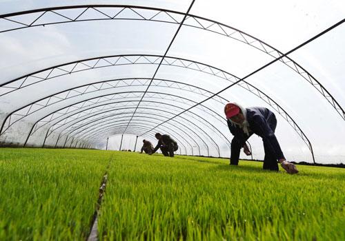 �ļ�����������繤������ҕ���ķ������P�I��