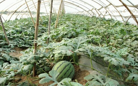 ������ô������ϼ޽ӣ��������ϼ޽Ӽ��g��