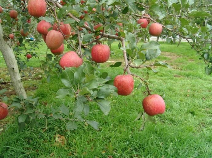 �O���@�����M���������ࣿ�O���@�������༼�g��