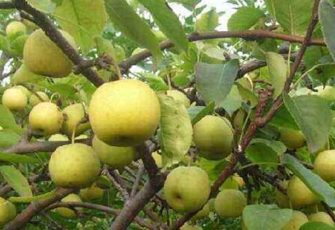 ���� ���������� ��߮a���б��C��