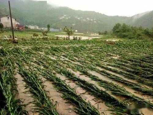 ˮ���^����Ҫ��������ˮ������ʩ