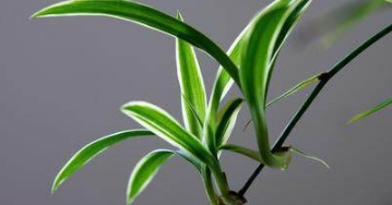 ���mԓ���ʩ�ʣ���ʲô������