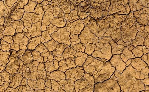 ������Y(ji��)��ɶԭ����ɵ�������������Y(ji��)�ķ�����