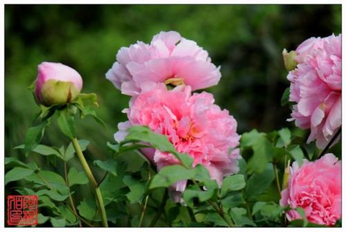 ĵ��ԓ���ʩ����ĵ��ʩ������ЩҪ�c��