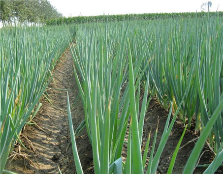 ���[��ôʩ���܉򲻂��������[ʩ�ʼ��g��