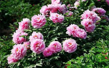 ĵ��ԓ���ʩ�ʣ�ĵ��ʩ������ЩҪ�c��