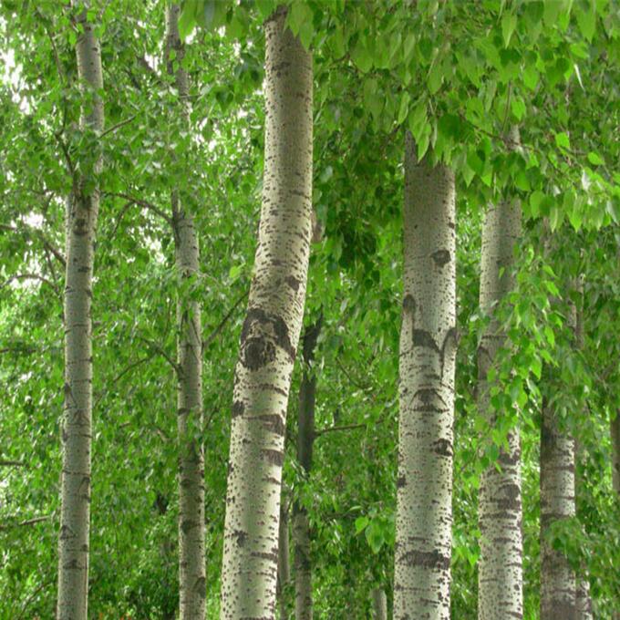 ��䑪ԓ��ʲô�r��ʩ����һ��ʩ�״ηʣ�