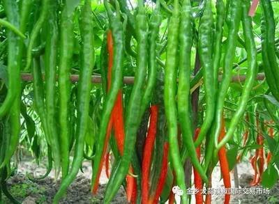 �o������ˮҪע��ʲô��