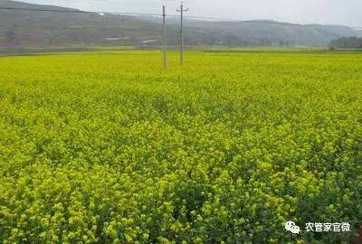 ����������c��ʲô���Nֲ��䑪ԓ���ʩ�ʣ�