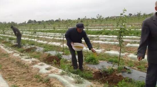 �Nֲ�Ҙ䑪ԓ��ʲô�r��ʩ�ʣ���ԓ��ôʩ�ʣ�