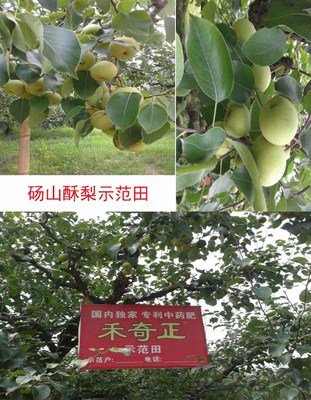 ��ˎ��Ч���Æ᣿��ˎ�ʵ����ÙC(j��)��