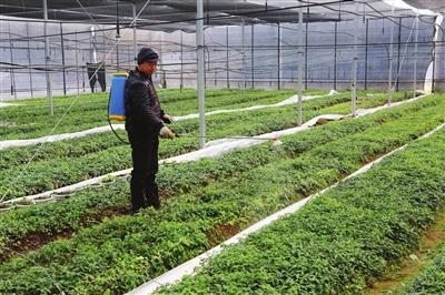 ��Щ��r�²���ʹ�þ��ʣ�ӛס�@���c��