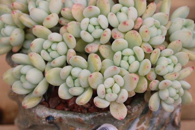 �Bֳ�����費��Ҫʩ�ʣ����֑�ԓ��ô����