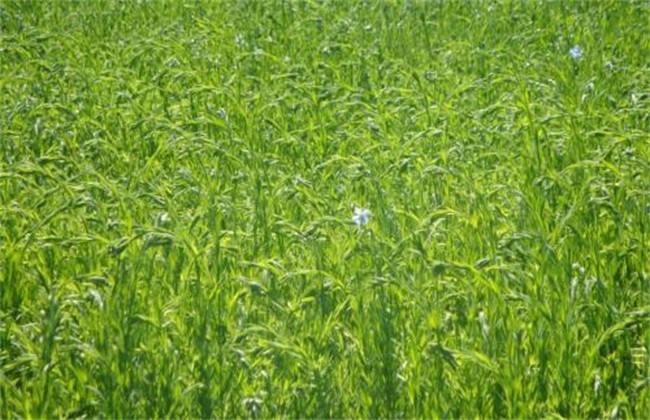 �_ʩ�ʑ�ԓ���ʹ�ã��_ʩ�����_ʹ�÷�����