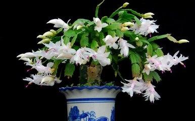 зצ�m��(y��ng)ԓ��ʲô�r��ʩ�ʣ���(y��ng)ԓ��ôʩ��