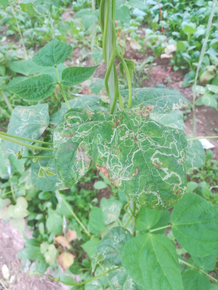 �|�������ڑ�(y��ng)ԓ���ʩ�ʣ���Ҫע��ʲô��