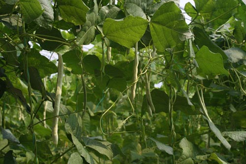 �|�������ڑ�ԓ���ʩ�ʣ���Ҫע��ʲô��