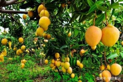 �Nֲâ����ԓ���ʩ�ʣ���ԓ��ʲô�r�gʩ�ʣ�